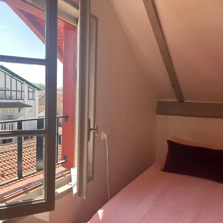 Apartment Charmant T2 Mansarde Proche Plage Et Centre, St-jean-de-luz - Fr-1-239-915