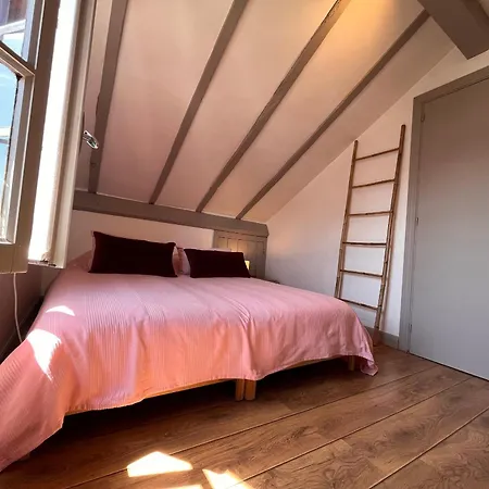 Charmant T2 Mansarde Proche Plage Et Centre, St-jean-de-luz - Fr-1-239-915 Apartment *
